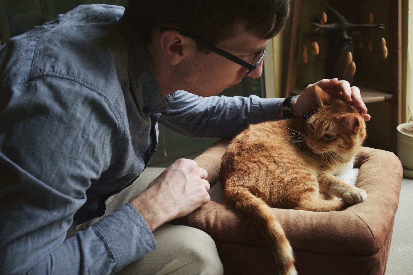 Veterinaria Integral Sant Cugat